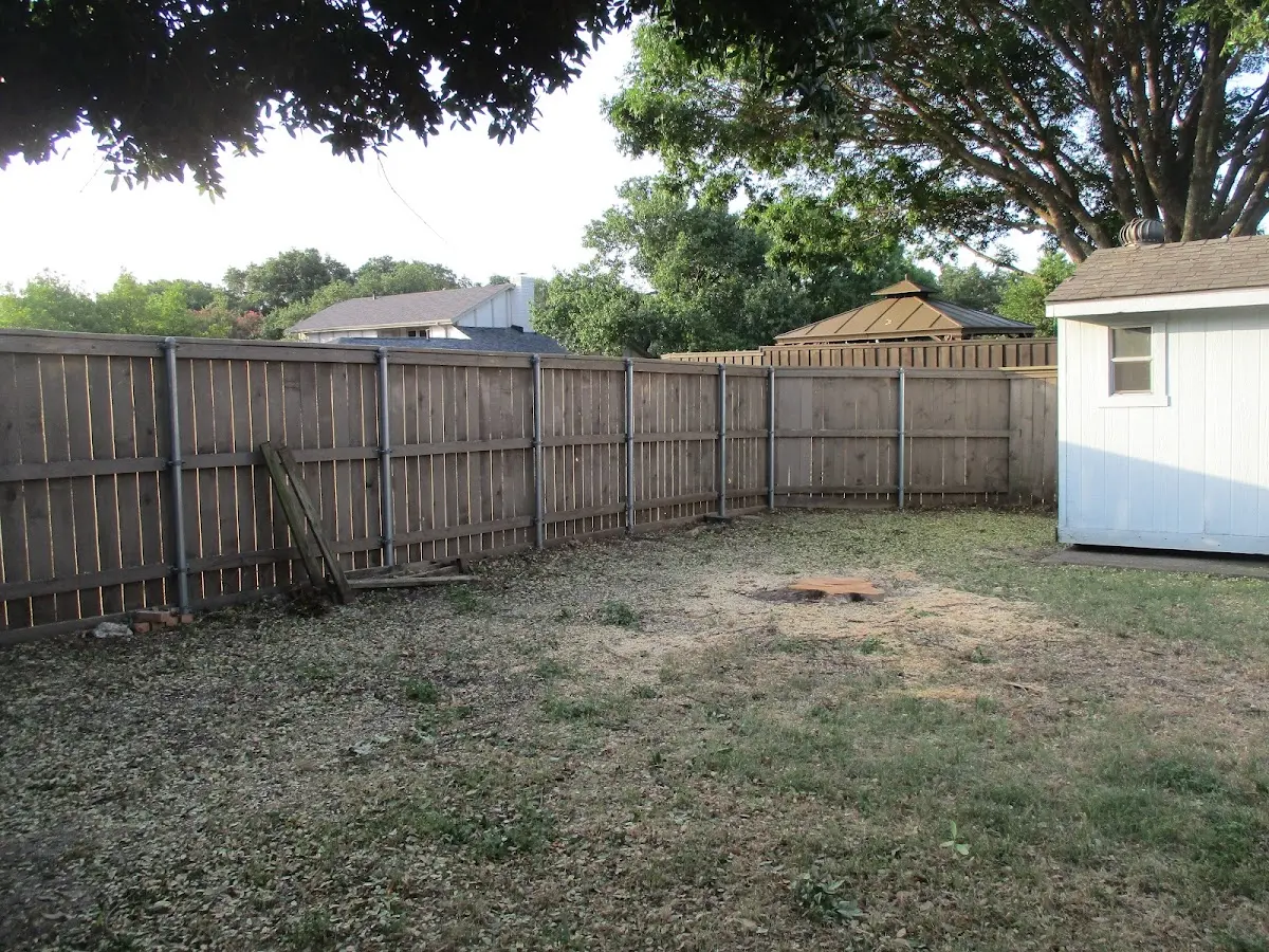 Cleared yard after professional tree removal in Leetsdale